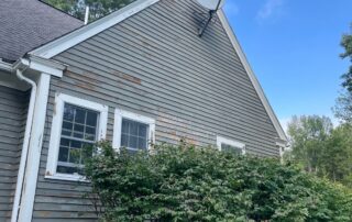 why exterior paint fails